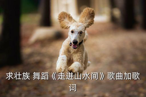 求壮族 舞蹈《走进山水间》歌曲加歌词