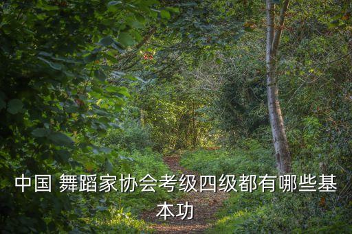 五级舞蹈考波浪,舞蹈可以直接考五级吗