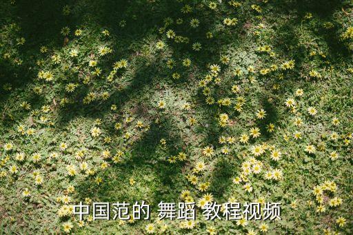 舞蹈教程网,叮叮当当舞蹈教程