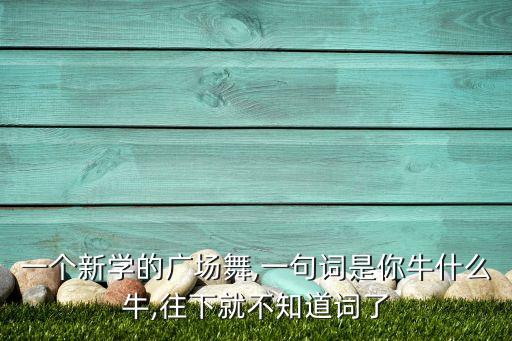 你牛什么牛舞蹈教学,牛什么牛幼儿舞蹈最新视频