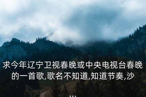 求今年辽宁卫视春晚或中央电视台春晚的一首歌,歌名不知道,知道节奏,沙...