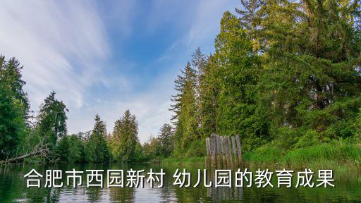 合肥市西园新村 幼儿园的教育成果