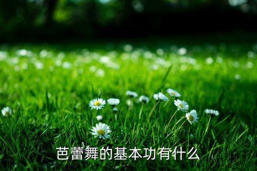 芭蕾舞的基本功有什么