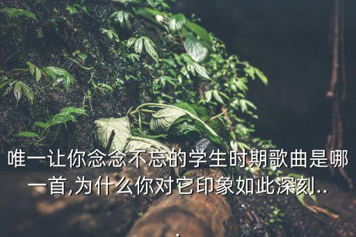 广场舞乡愁不老舞蹈屋,午后骄阳广场舞乡愁不老背面