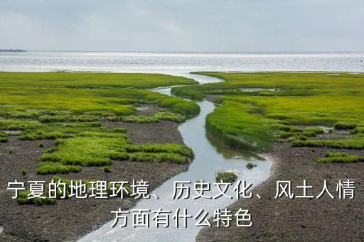 宁夏的地理环境、历史文化、风土人情方面有什么特色