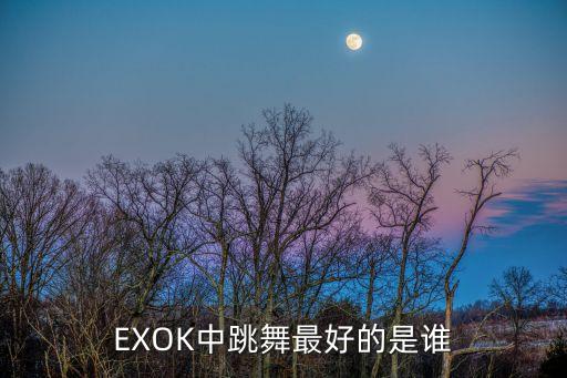 EXOK中跳舞最好的是谁