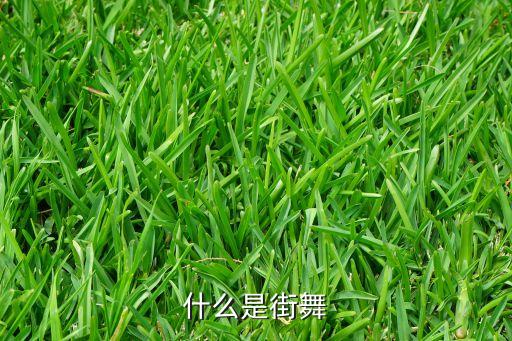 功夫舞蹈跳舞视频教学,两只老虎爱跳舞舞蹈教学