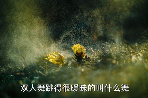  双人舞跳得很暧昧的叫什么舞