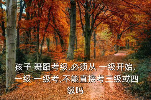 儿童舞蹈一级考试舞蹈视频