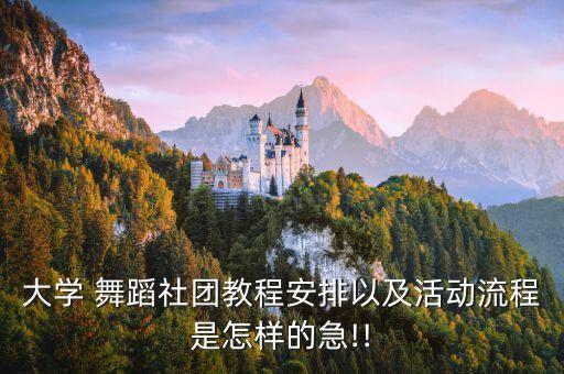 大学 舞蹈社团教程安排以及活动流程是怎样的急!!