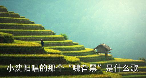 小沈阳唱的那个“哪旮黑”是什么歌