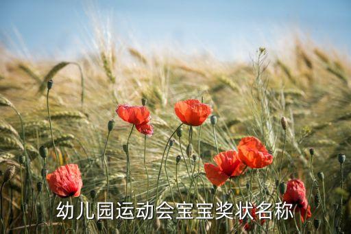 关于舞蹈的颁奖称号