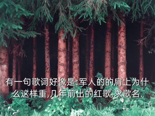 好男儿就是要当兵 舞蹈,唱响中国好男儿就是要当兵