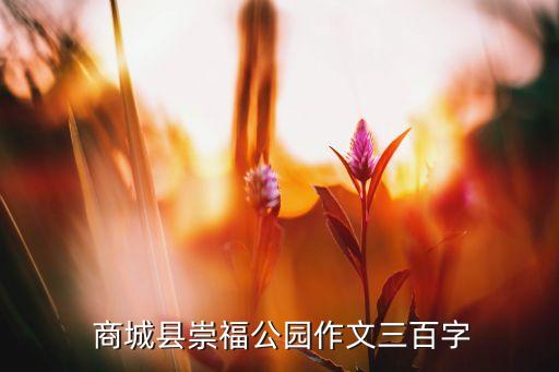  商城县崇福公园作文三百字