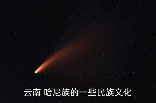 云南 哈尼族的一些民族文化