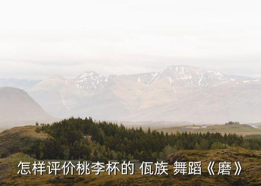 怎样评价桃李杯的 佤族 舞蹈《磨》