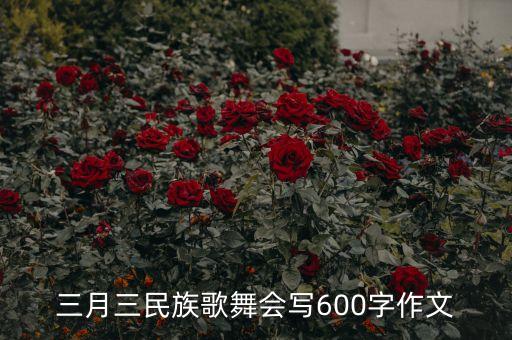 三月三民族歌舞会写600字作文