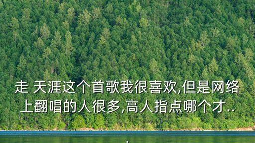 走 天涯这个首歌我很喜欢,但是网络上翻唱的人很多,高人指点哪个才...