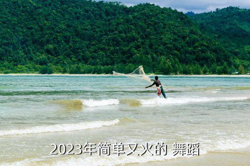 2023年简单又火的 舞蹈