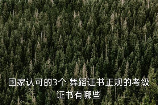 国家认可的3个 舞蹈证书正规的考级证书有哪些