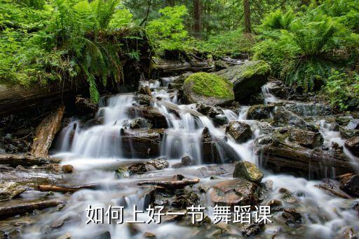 舞蹈课教学质量分析