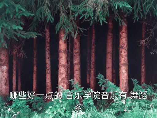 星海音乐学院舞蹈系吧,广州星海音乐学院舞蹈系