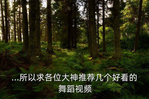 ...所以求各位大神推荐几个好看的 舞蹈视频