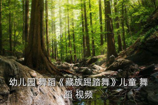 幼儿园 舞蹈《藏族踢踏舞》儿童 舞蹈 视频