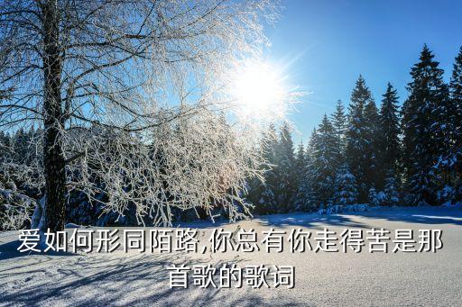爱如何形同陌路,你总有你走得苦是那首歌的歌词