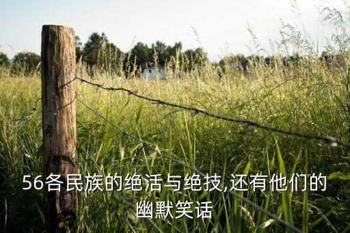 东乡族的舞蹈