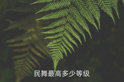 中国民间舞蹈考级六级,民族民间舞蹈考级六级小格格