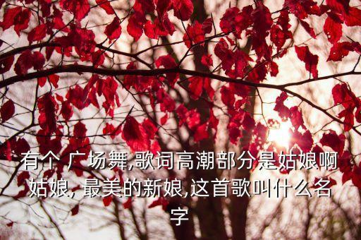 有个 广场舞,歌词高潮部分是姑娘啊姑娘, 最美的新娘,这首歌叫什么名字