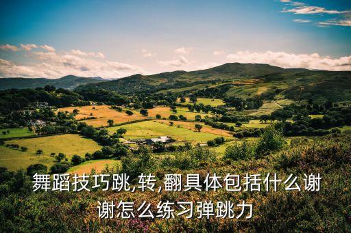  舞蹈技巧跳,转,翻具体包括什么谢谢怎么练习弹跳力