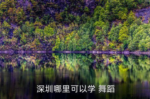 深圳暑假舞蹈培训班,深圳成人舞蹈培训班价格表