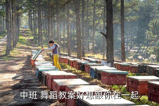 汉字编舞幼儿舞蹈,幼儿舞蹈故事编舞题材