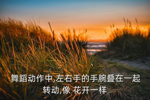  舞蹈动作中,左右手的手腕叠在一起转动,像 花开一样