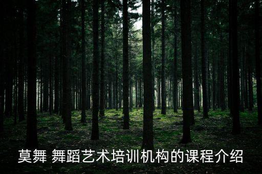 莫舞 舞蹈艺术培训机构的课程介绍