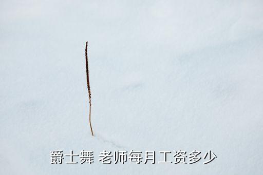  爵士舞 老师每月工资多少