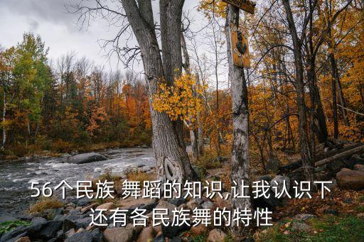56个民族 舞蹈的知识,让我认识下还有各民族舞的特性