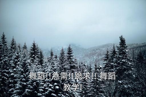  舞蹈!!急需!!跪求!! 舞蹈 教学!