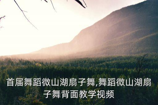 首届舞蹈微山湖扇子舞,舞蹈微山湖扇子舞背面教学视频