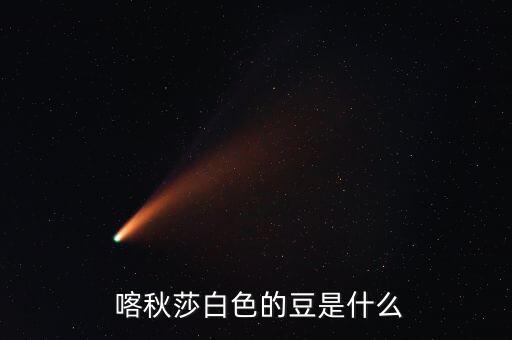  喀秋莎白色的豆是什么