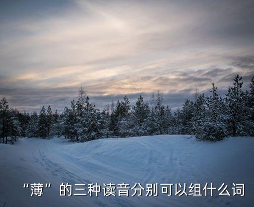 “薄”的三种读音分别可以组什么词
