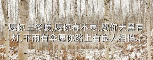 愿你三冬暖,愿你春不寒;愿你天黑有灯,下雨有伞愿你路上有良人相伴...