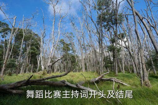  舞蹈比赛主持词开头及结尾