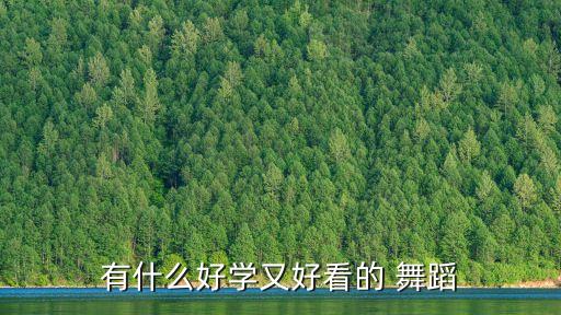有什么好学又好看的 舞蹈