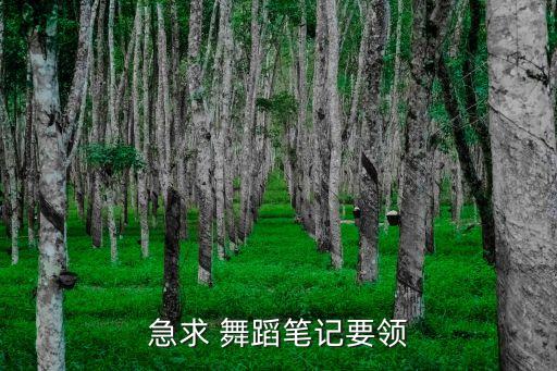 急求 舞蹈笔记要领