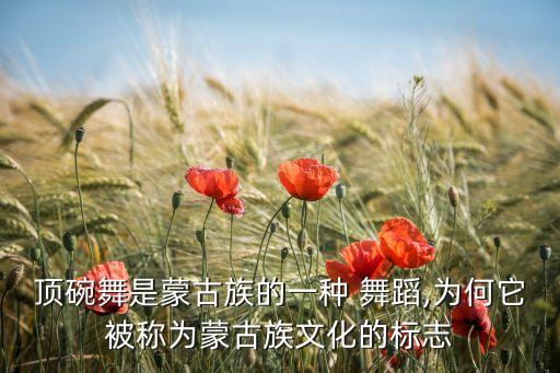 桃李杯顶碗舞获奖舞蹈