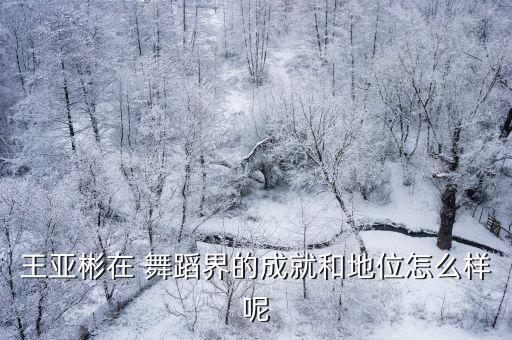王亚彬在 舞蹈界的成就和地位怎么样呢