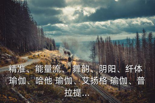 精准、能量流、 舞韵、阴阳、纤体 瑜伽、哈他 瑜伽、艾扬格 瑜伽、普拉提...